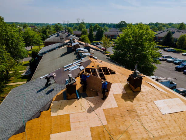 Quick and Trustworthy Emergency Roof Repair Services in Tolono, IL