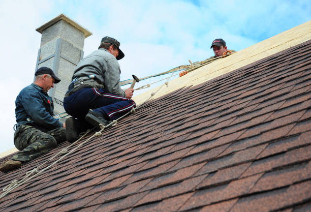 Professional Roofing Contractor in Tolono, IL